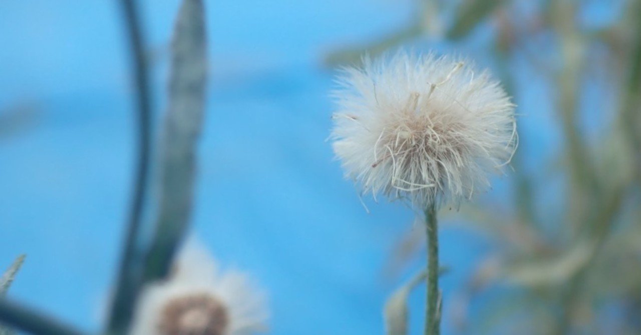 鍋を見くびるな 年6月日の日記 品田遊 ダ ヴィンチ 恐山 Note 鍋を見くびるな 年6月日の日記 品田遊 ダ ヴィンチ 恐山 Note