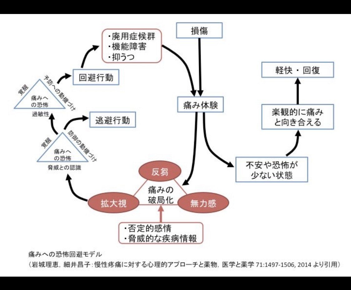 出 てる 尾てい骨