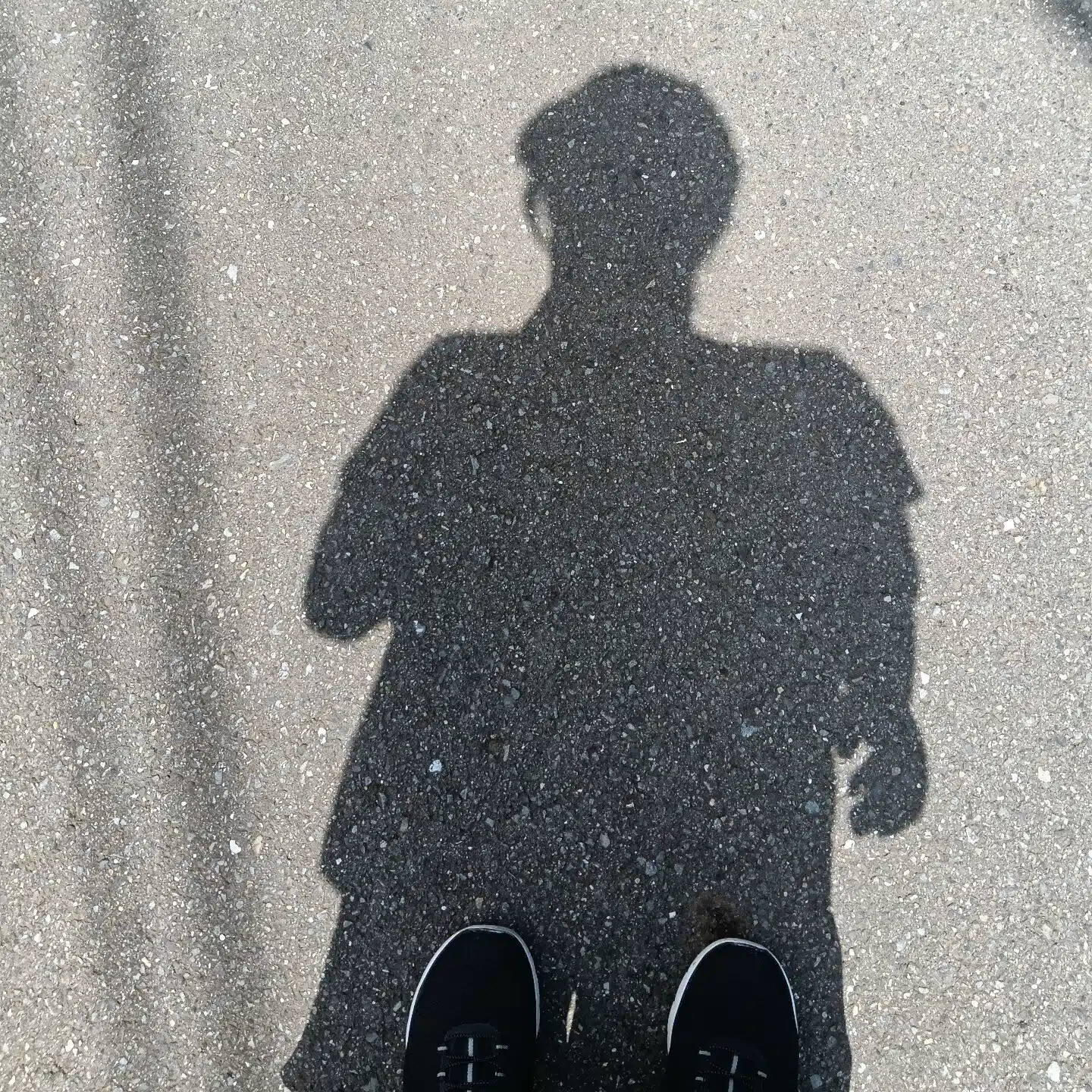 小さな楽しみの種🌱