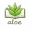 aloe