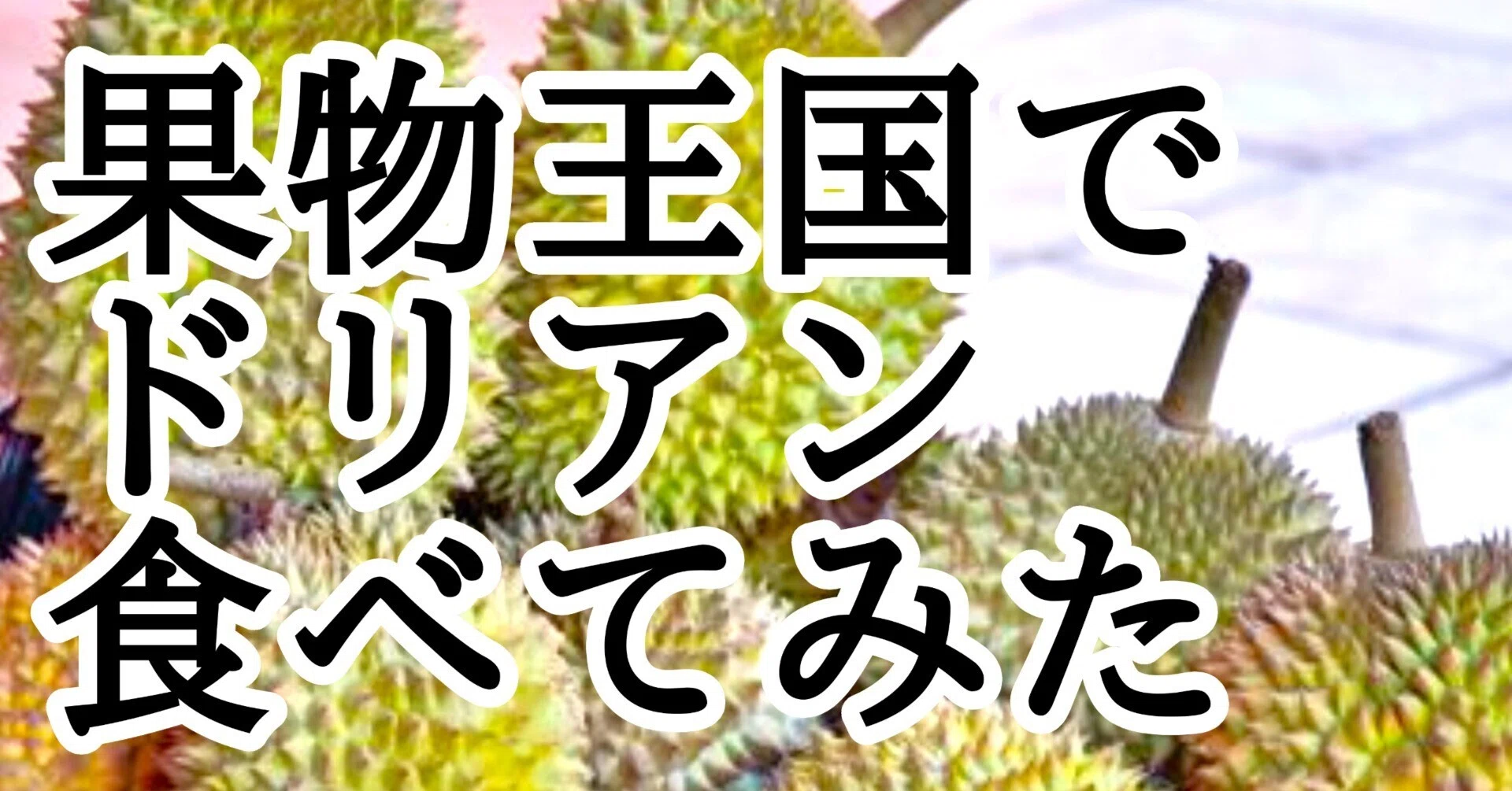 マレーシアは果物王国！今が旬の「ドリアン」食べてみました【正直な