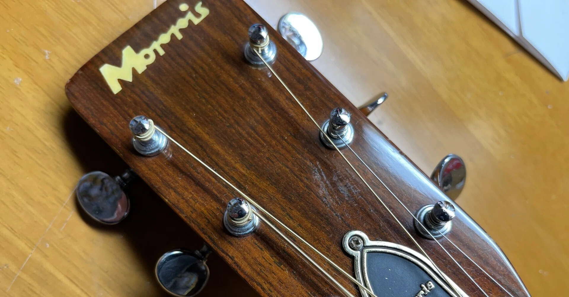 モーリスはMartinのコピーモデルだったのか？｜鋪田博紀@音楽