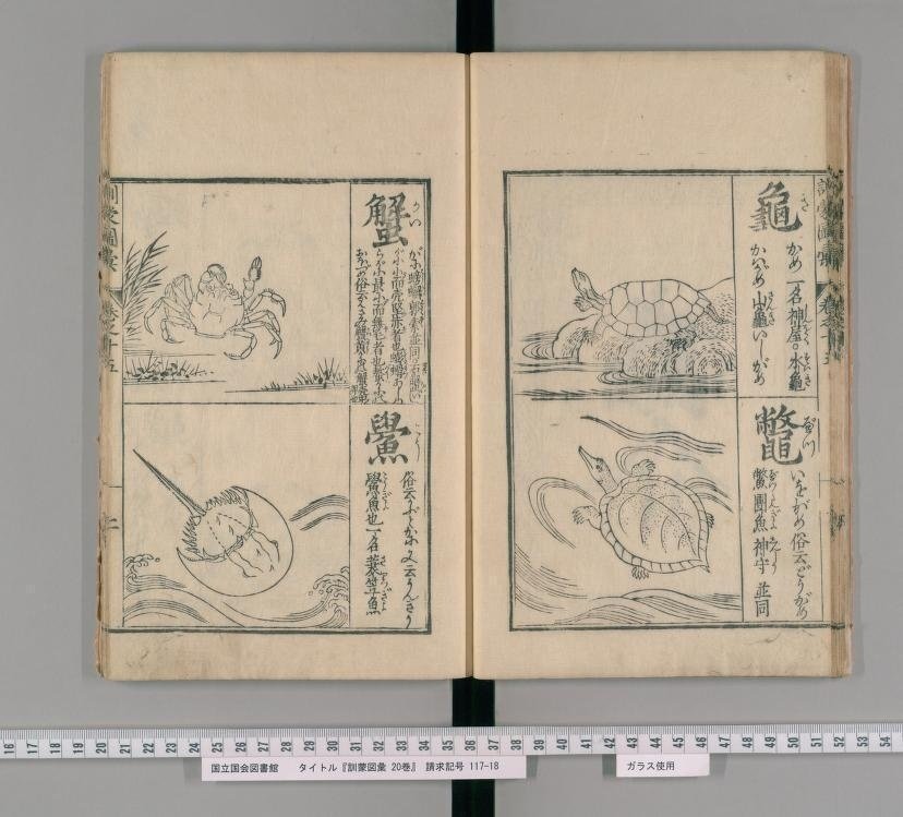 どうしてこうなった? 江戸の作画崩壊か、はたまたゆるキャラか どうしてこうなった? 江戸の作画崩壊か、はたまたゆるキャラか