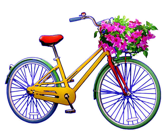 出演者 デジタル 行 自転車 派手 Travelinnchulavista Com 出演者 デジタル 行 自転車 派手 Travelinnchulavista Com