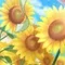 ○沈まぬ太陽○