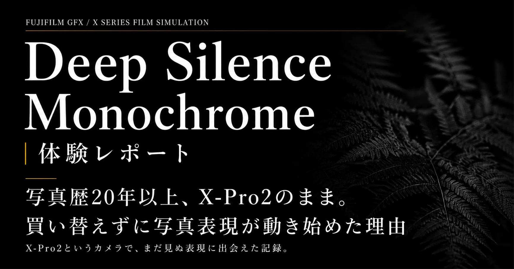 体験レポート】写真歴20年以上、X-Pro2のまま。買い替えずに写真表現が