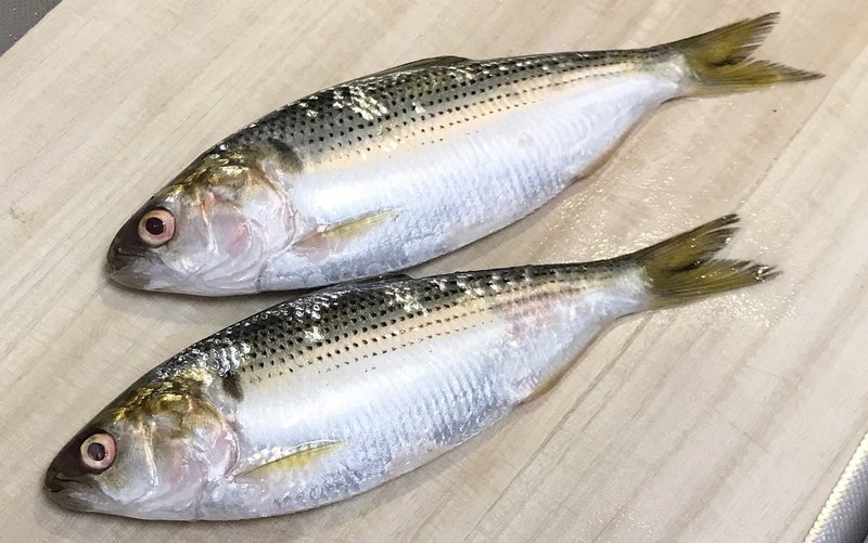 新説 魚食レポvol 8 酢締めコハダの冷やし中華 かにへー 魚食と言葉 Note