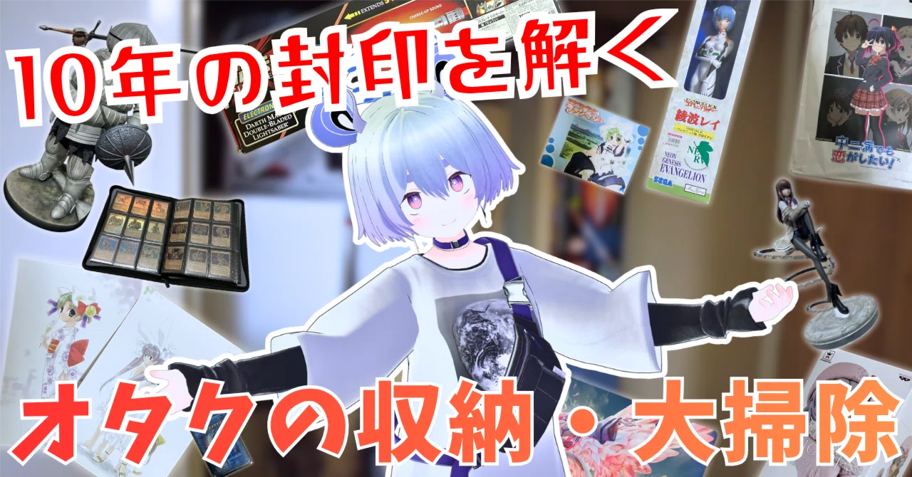 Re / おたく整理中 オタク部屋片付け】10年間放置した収納を大掃除！【映えなし懐古あり