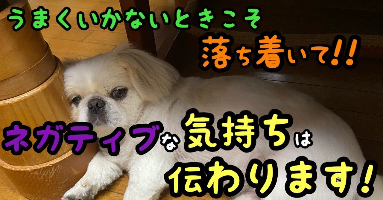 何でうまくいかないの って思ったら深呼吸 ネガティブな気持ちは犬に伝わる ドッグライフサポーター 獅子パパ Note