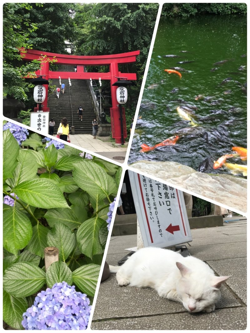 階段フェスティバル と カリン様 K Note