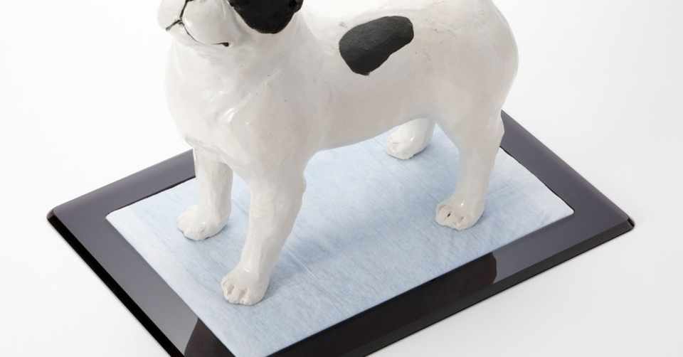 デザイン会社がつくった おしゃれな犬のトイレ Workstudio Note