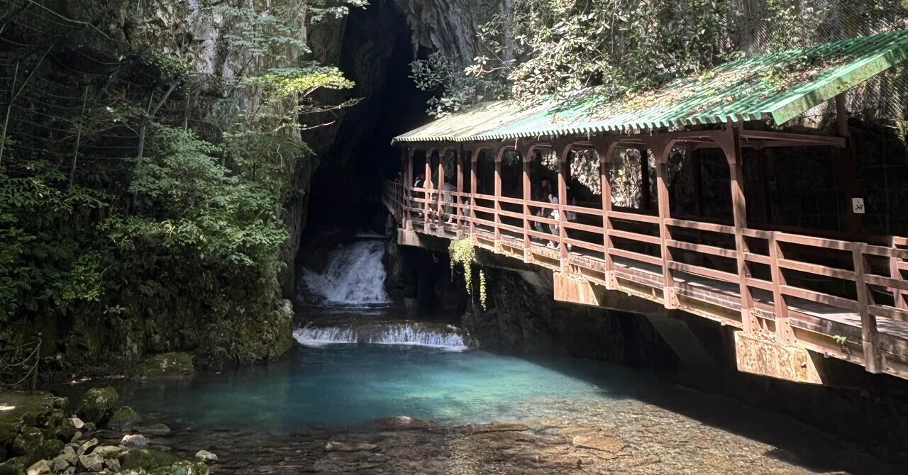 山口県鍾乳洞で有名な秋芳洞で購入、沢山出てるが 作者名と朱印入りは珍しいです。 一歩入れば別世界】日本最大級の鍾乳洞「秋芳洞」｜Eriko