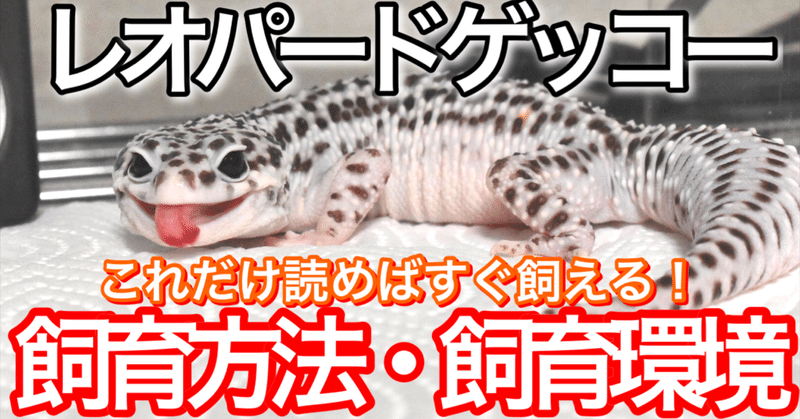 ヒョウモントカゲモドキ レオパードゲッコー の飼育方法 亀山さん Note ヒョウモントカゲモドキ レオパードゲッコー の飼育方法 亀山さん Note
