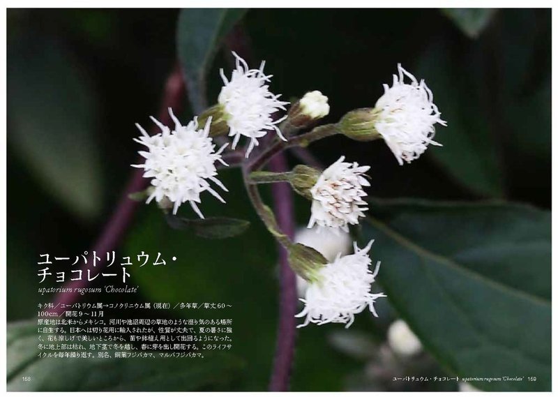 ゆ の花 Taku Note