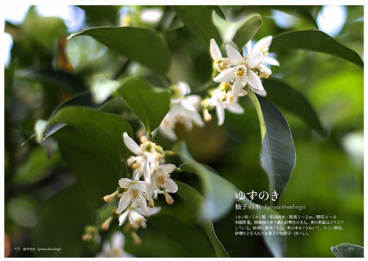 ゆ の花 Taku Note ゆ の花 Taku Note