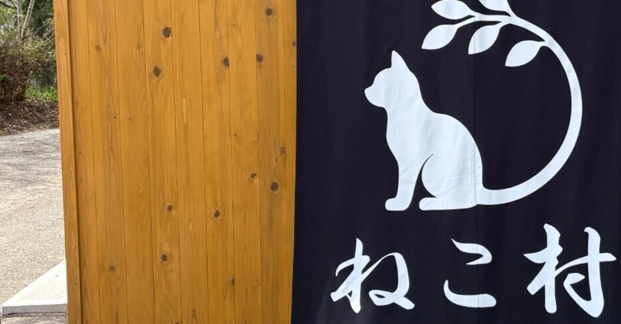 猫たちと過ごす至福の時間。家族で訪れた「ねこ村」｜AKKO