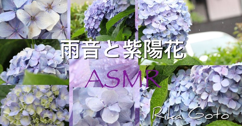 雨音と紫陽花【ASMR】