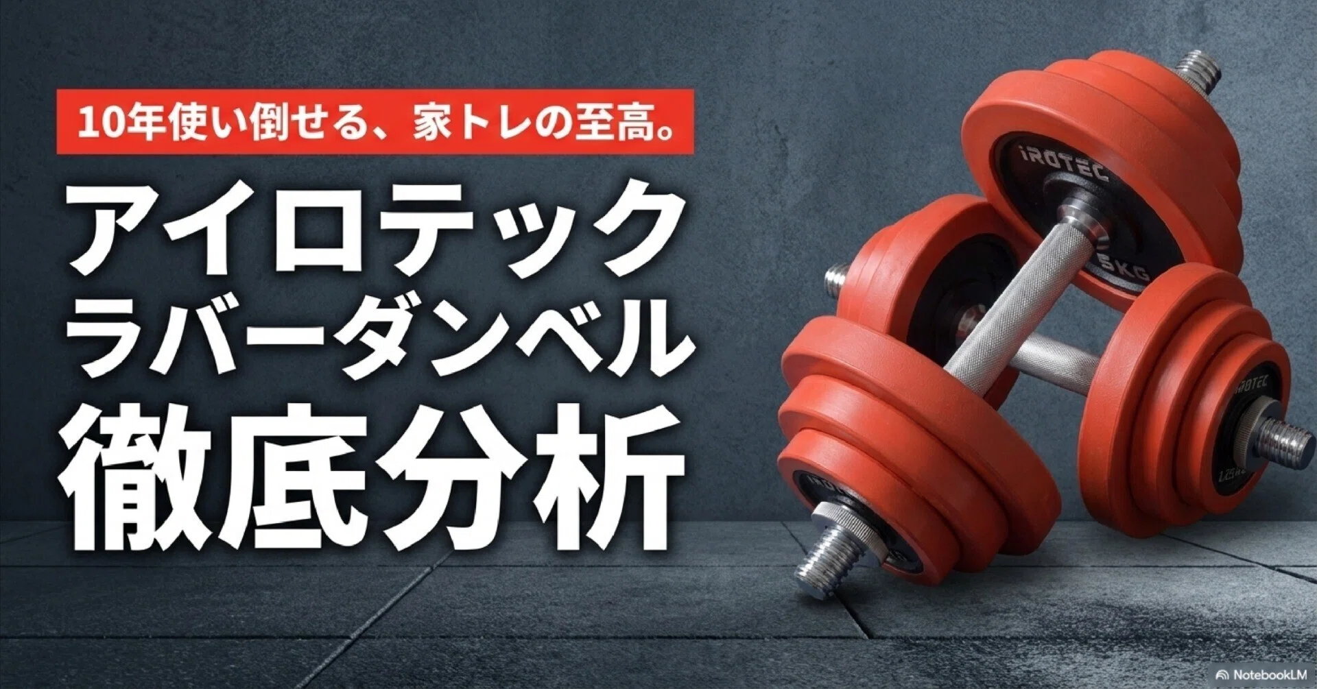 IROTEC（アイロテック） ラバー ダンベル 40KGセット（片手20kg×2個