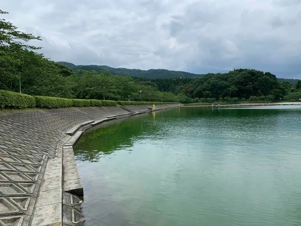画像8