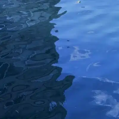 Bits&Pisces