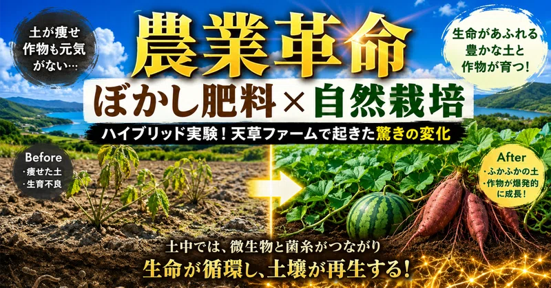 【農業革命】「ぼかし肥料×自然栽培」の驚くべき相乗効果！おもけん天草ファームのハイブリッド実験をレポート