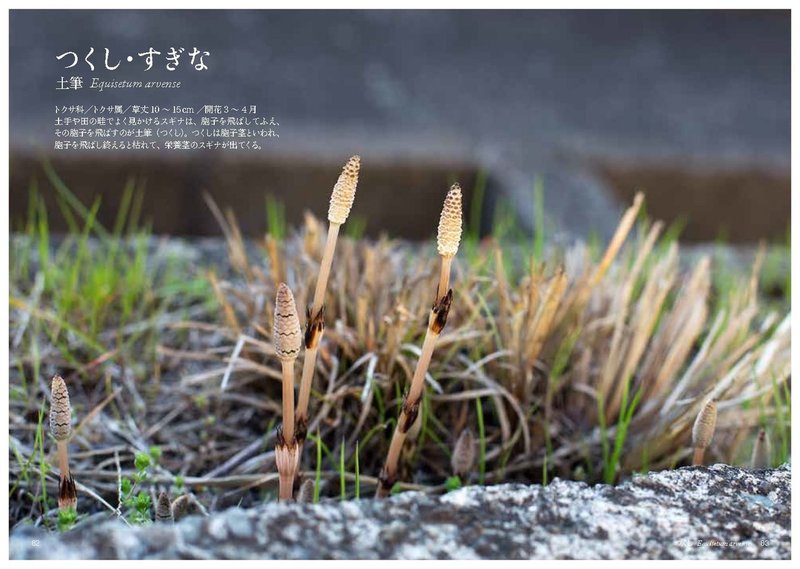 つ の花 Taku Note