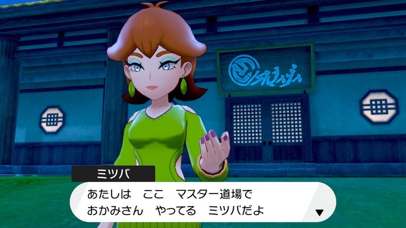ガラル地方を旅したおれのポケモンレポート 鎧の孤島 編 Mr Koo Note