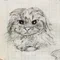 又三郎/風を創造する者