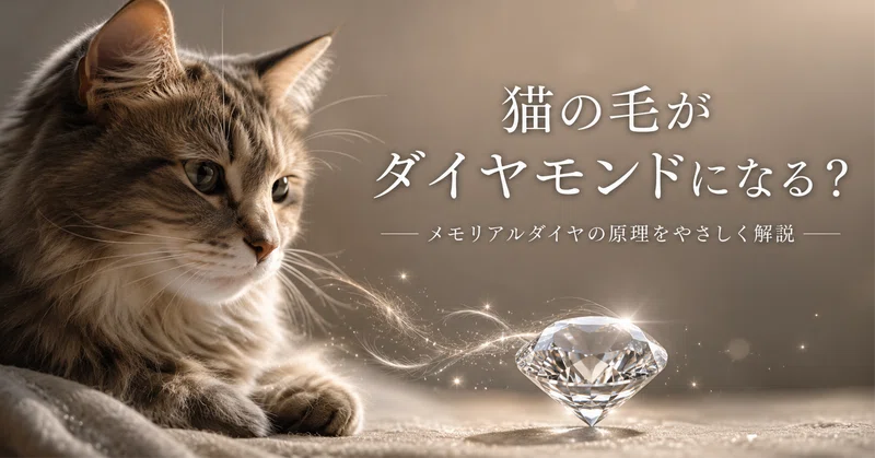 猫の毛がダイヤモンドになる？メモリアルダイヤの原理を、科学に詳しくない人にもわかるように説明してみる