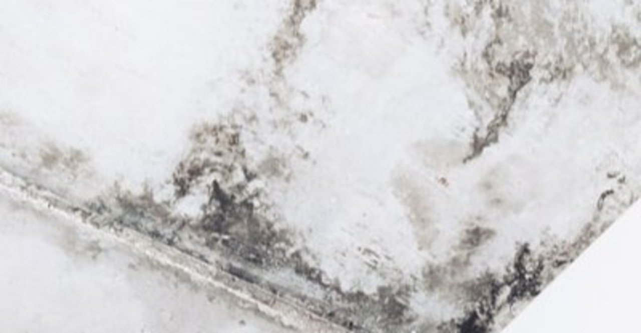 カビルンルンは一年中居るの Mukorevo ムコレボ 平良裕紀 Note