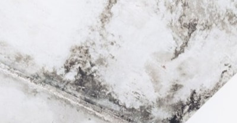 かび の新着タグ記事一覧 Note つくる つながる とどける