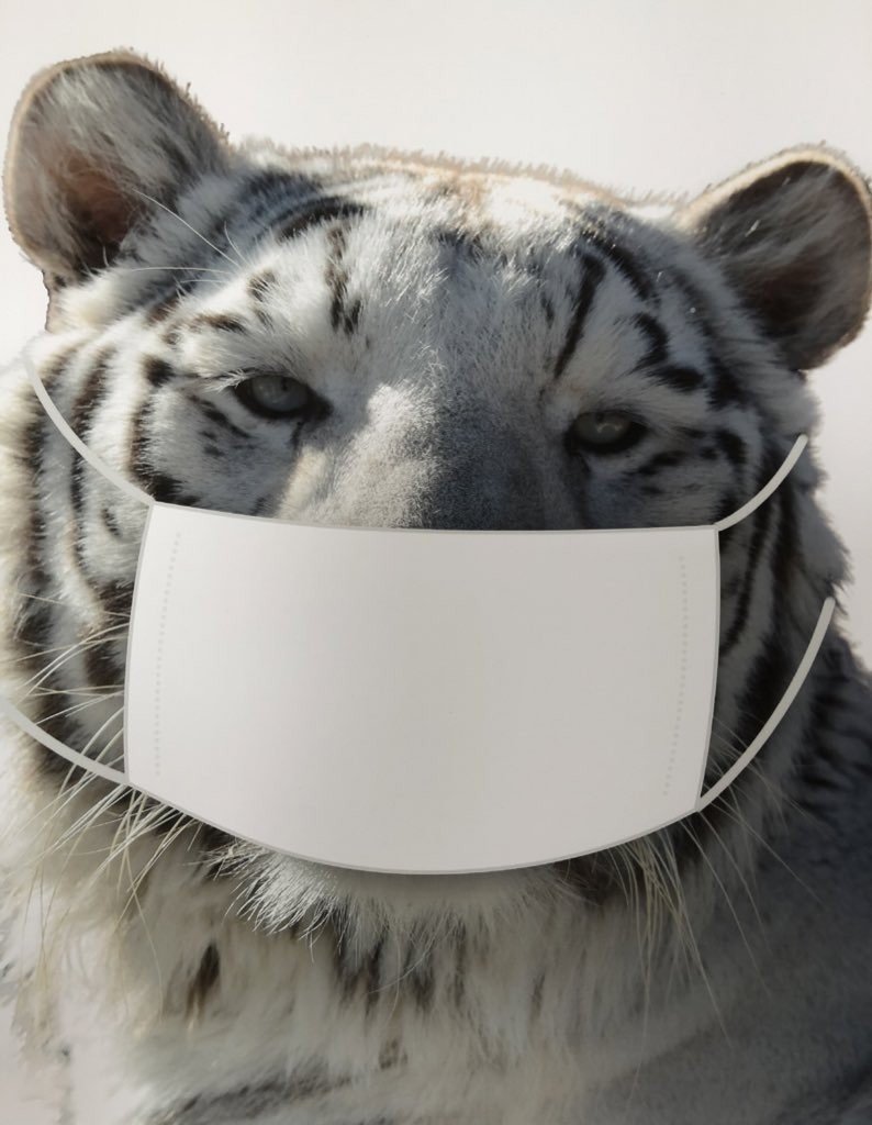 園館等訪問ルポ 東武動物公園 水と緑のふれあいロード 埼玉県宮代町 終わっていくものと 続いていくものと おらんうーたんになりたい Note