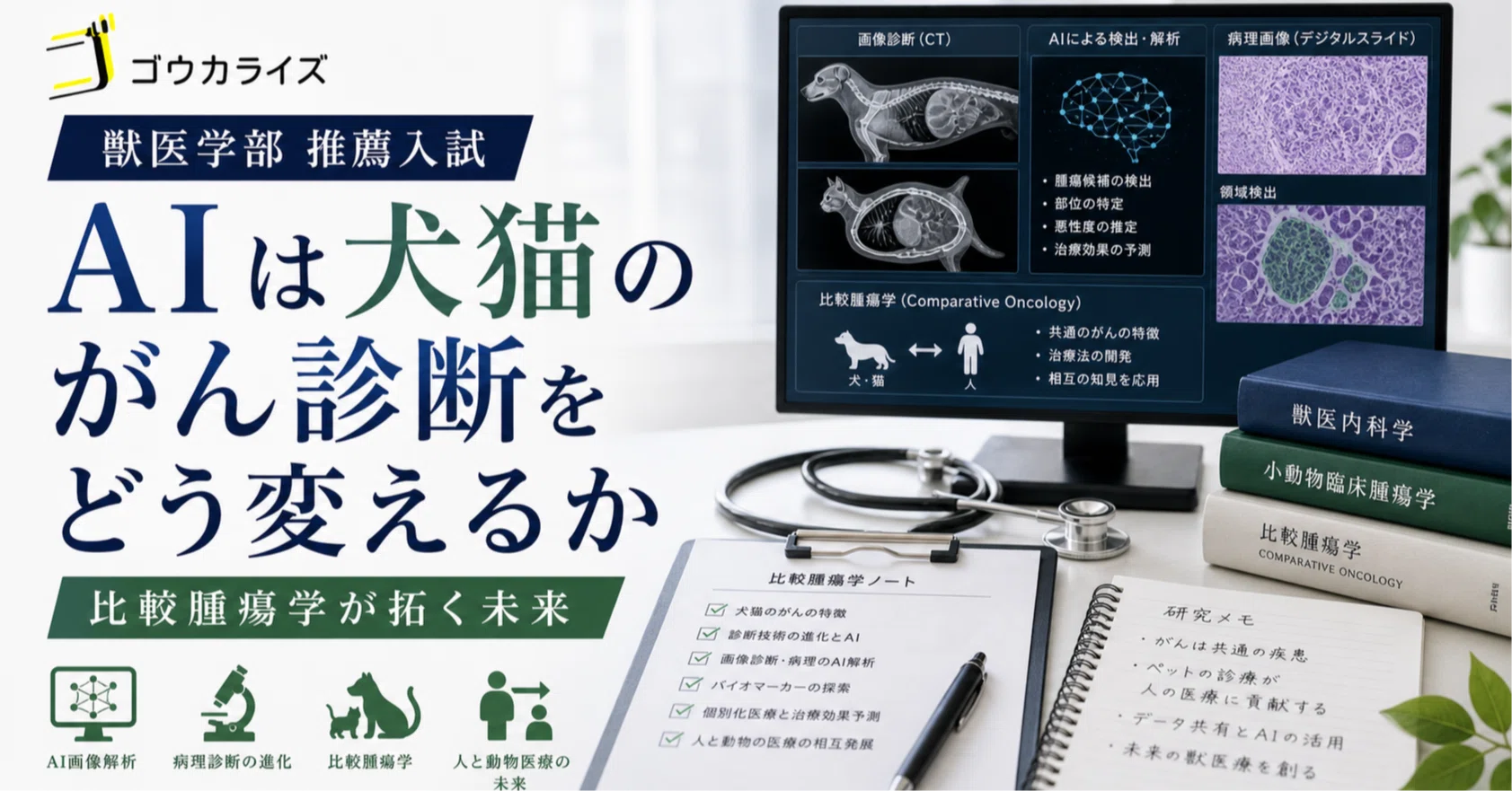 犬と猫の臨床腫瘍学　　裁断済み 犬と猫の臨床腫瘍学 裁断済み 裁断済みイラストを読む！犬と猫の臨床