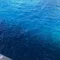 さひ