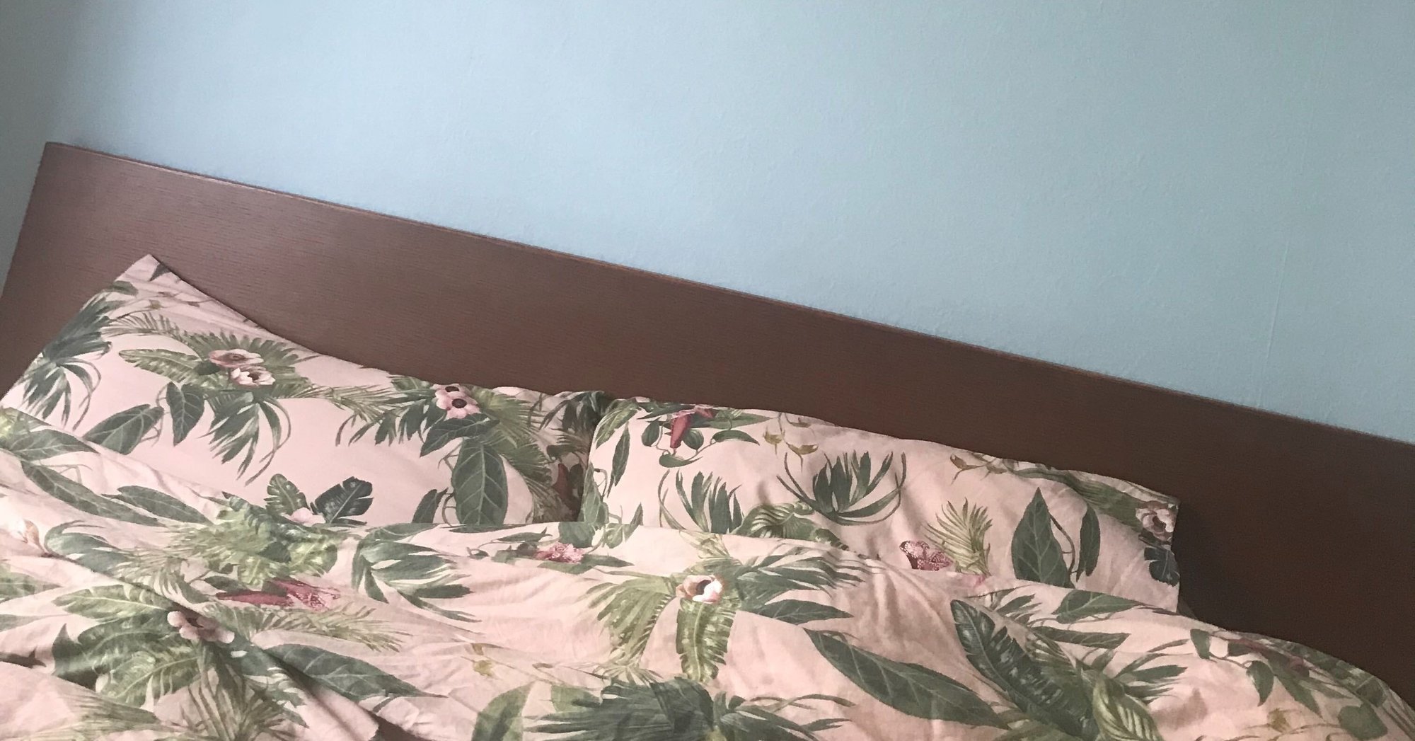 壁紙が 変わったぞ ぱぴこ Note 壁紙が 変わったぞ ぱぴこ Note