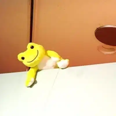 しま(元・琴音)