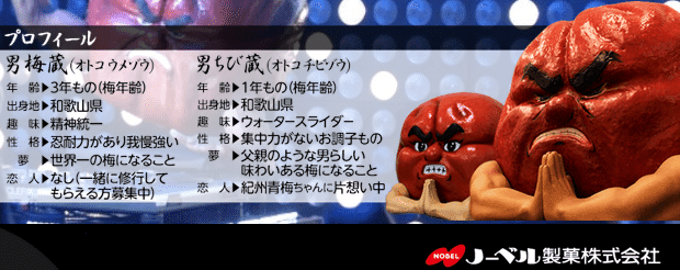男梅ゼリーが好き過ぎる どこにも売ってないし評判悪いけど大好き 五十嵐猫 Note
