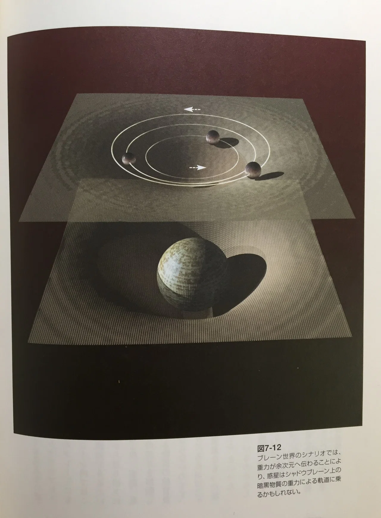洋書　古本　スティーブン　ホーキング　The Universe inくるみ　宇宙 書評＞「ホーキング、未来を語る」｜きーやん（木下裕治）