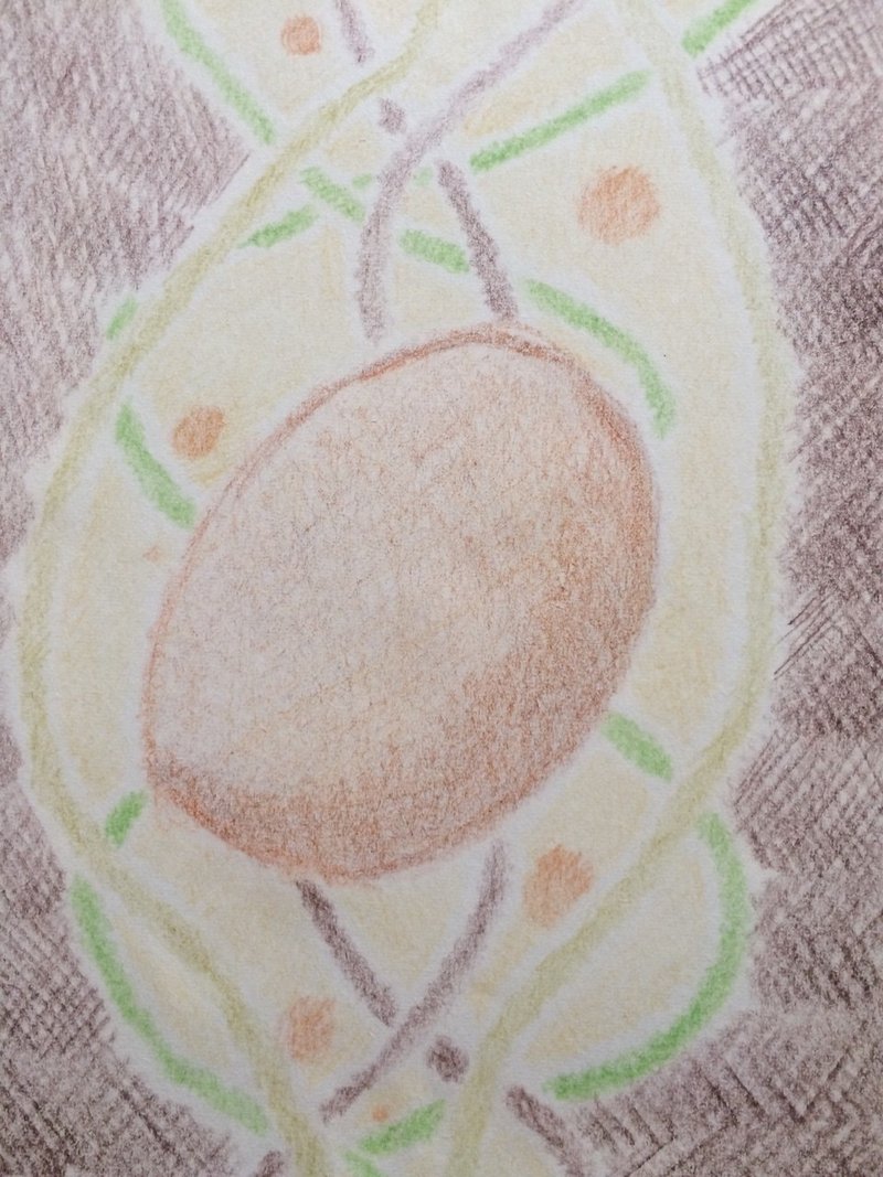 ありがとう 絵本 色鉛筆画 猪野いのり Note