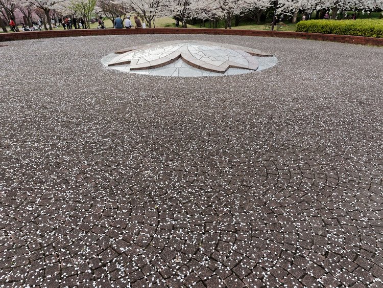 高尾さくら公園