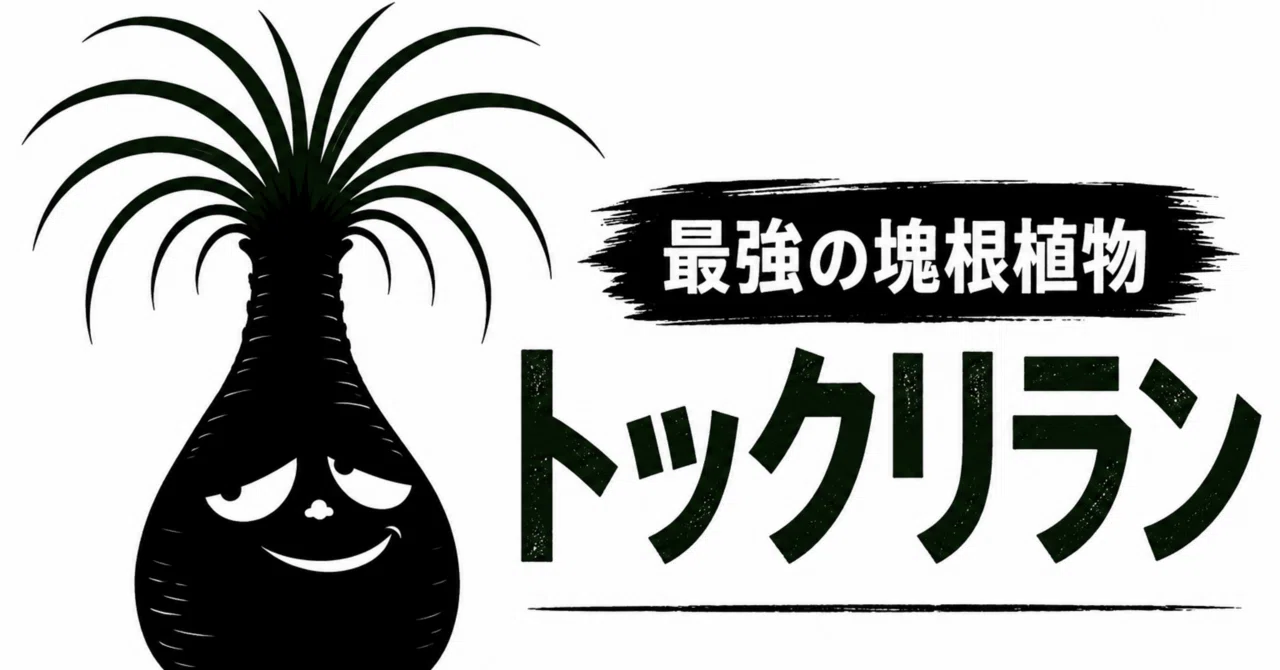 最強の塊根植物 トックリラン｜モチベーションを捨てたい男