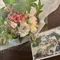 satomi / yohaku