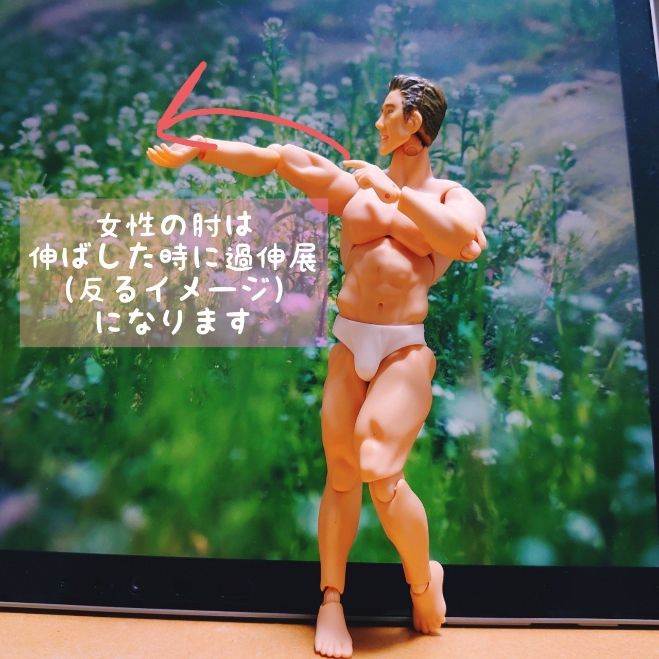 しゃこ氏 ポージングがんばるってよ ポージング講座その るちゃどぉる公式 Note