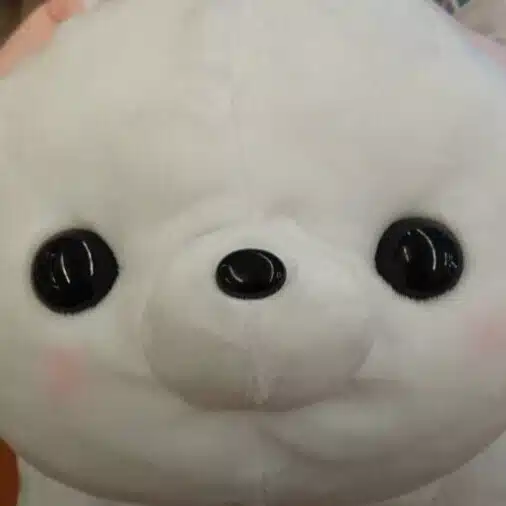 幸運の狐