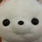 幸運の狐