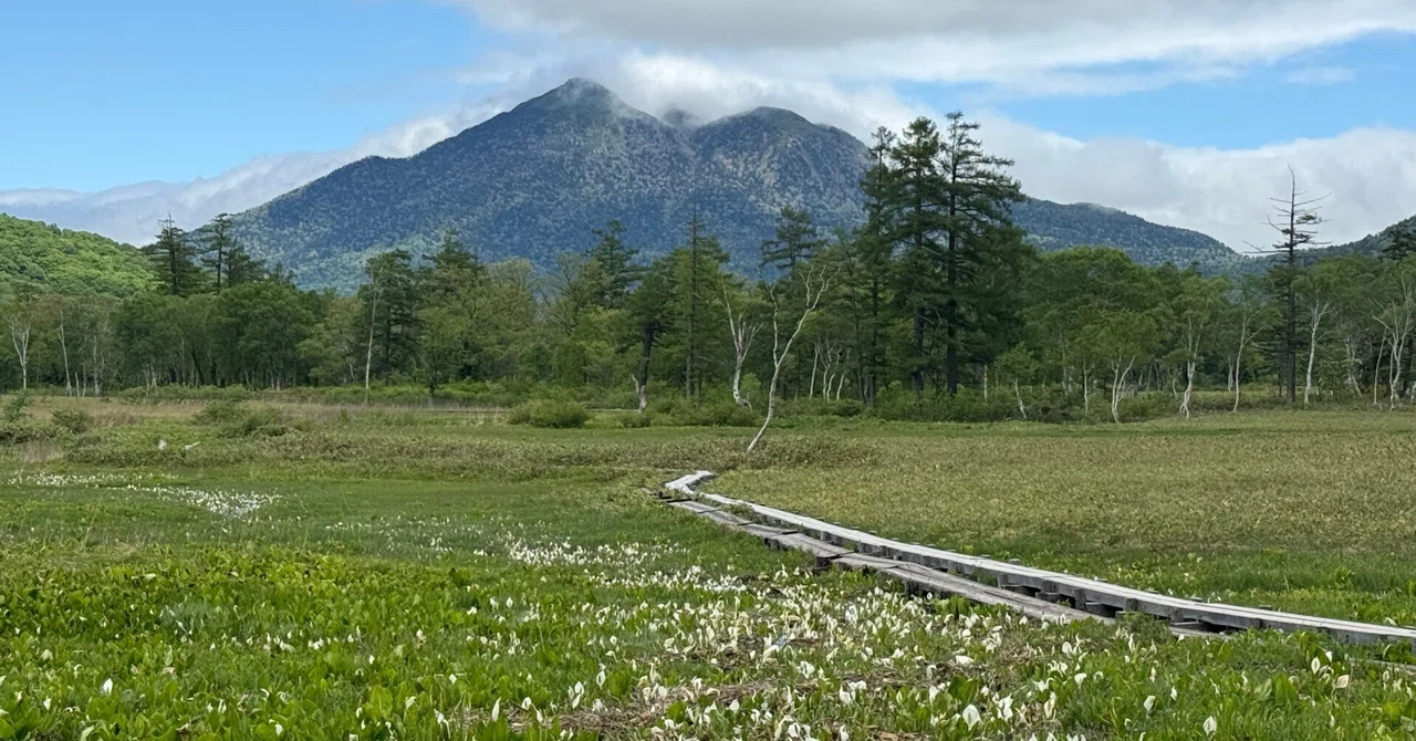 3年目の尾瀬へ。憧れの水芭蕉に会いに行くひとり旅