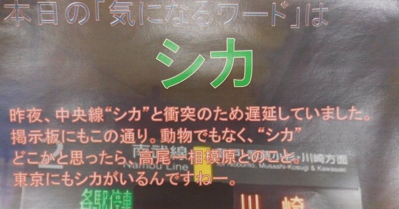 日替わり展示「毎日展示」は、司書にとっての修行場でもある