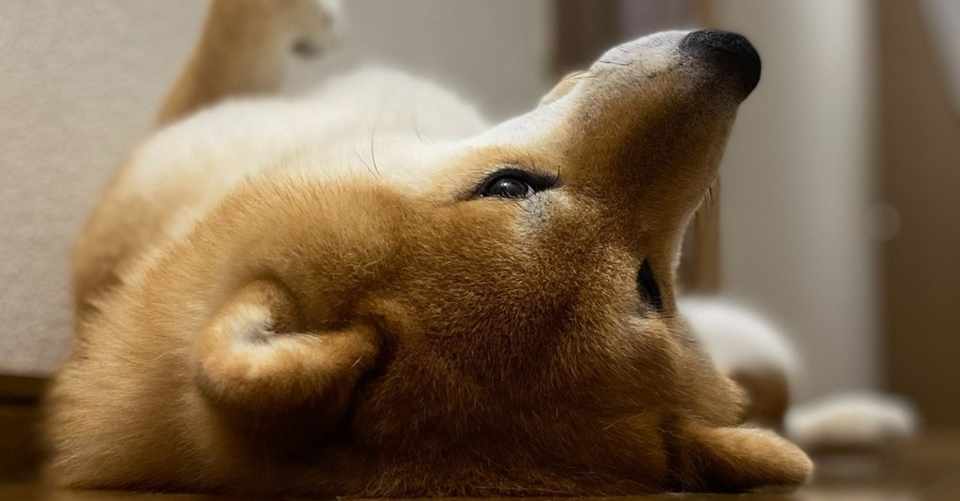 同性から告白された話 ごぼう Note