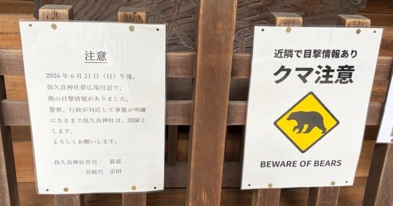Beware of Bears？｜Sae a.k.a. bekobe150
