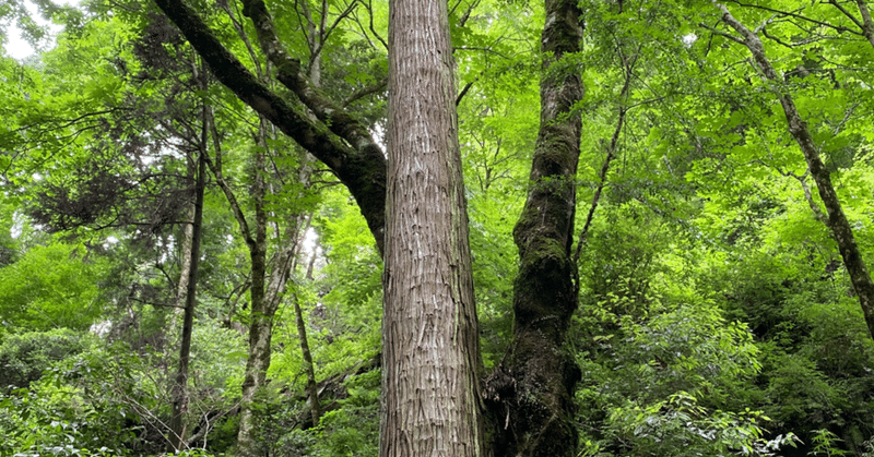 私が分かったこと